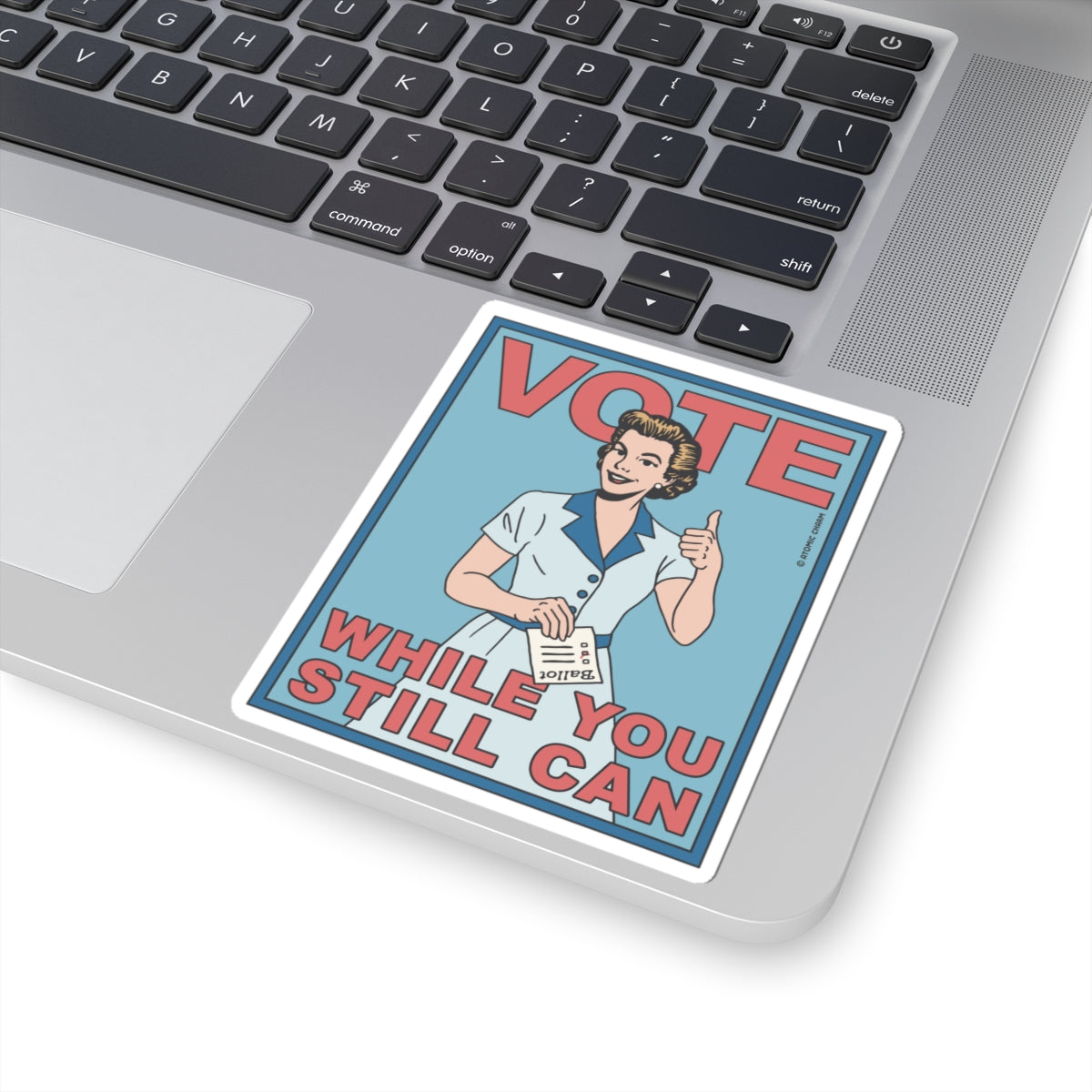 Vote (While You Still Can) Sticker